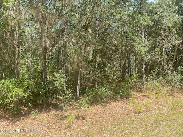 7 Shappell Ave, Interlachen, FL 32148 - photo 11