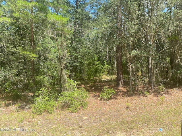 7 Shappell Ave, Interlachen, FL 32148 - photo 12