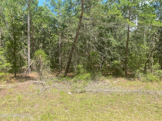 7 Shappell Ave, Interlachen, FL 32148 - photo 13