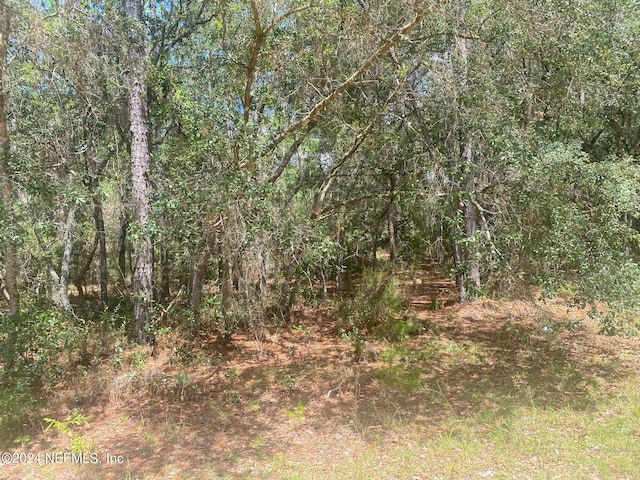 7 Shappell Ave, Interlachen, FL 32148 - photo 14