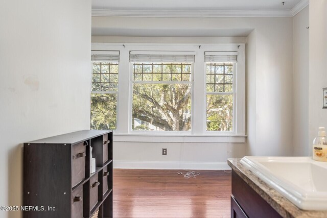 interior space with crown molding, sink, and dark wood-type flooring