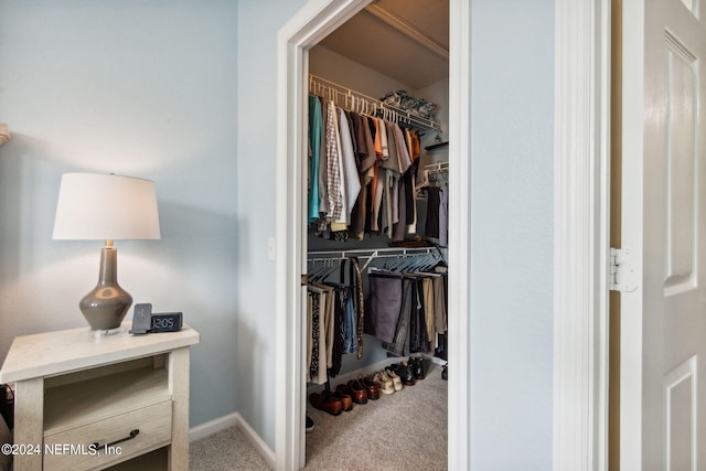 view of closet