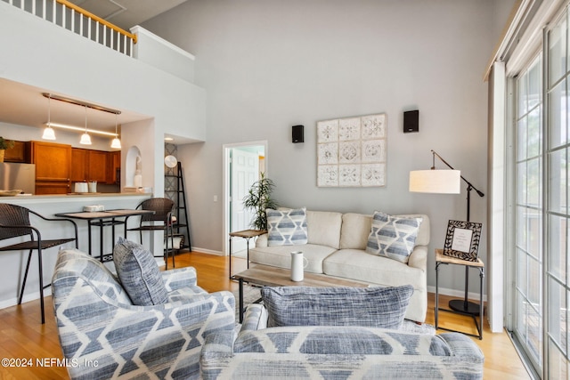 living room featuring a towering ceiling and light hardwood / wood-style floors