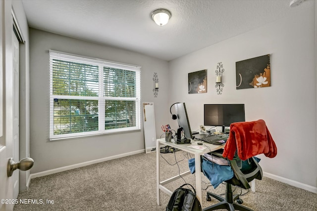 carpeted office with a textured ceiling