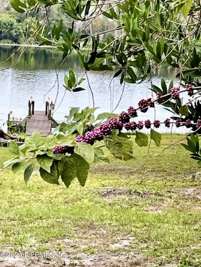 view of yard featuring a water view