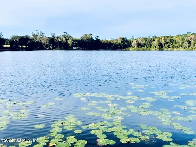 view of water feature