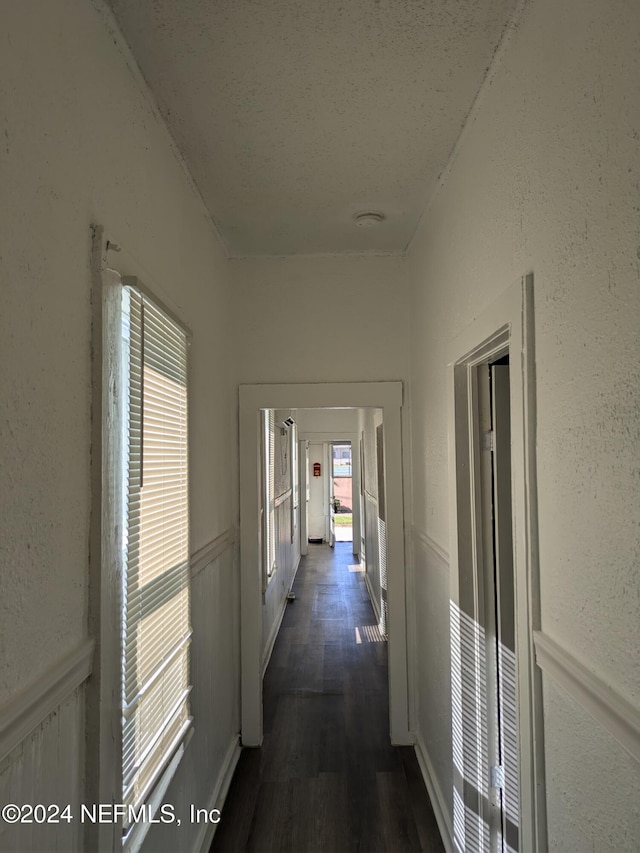 hallway with dark hardwood / wood-style flooring