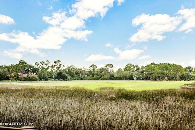 view of nature