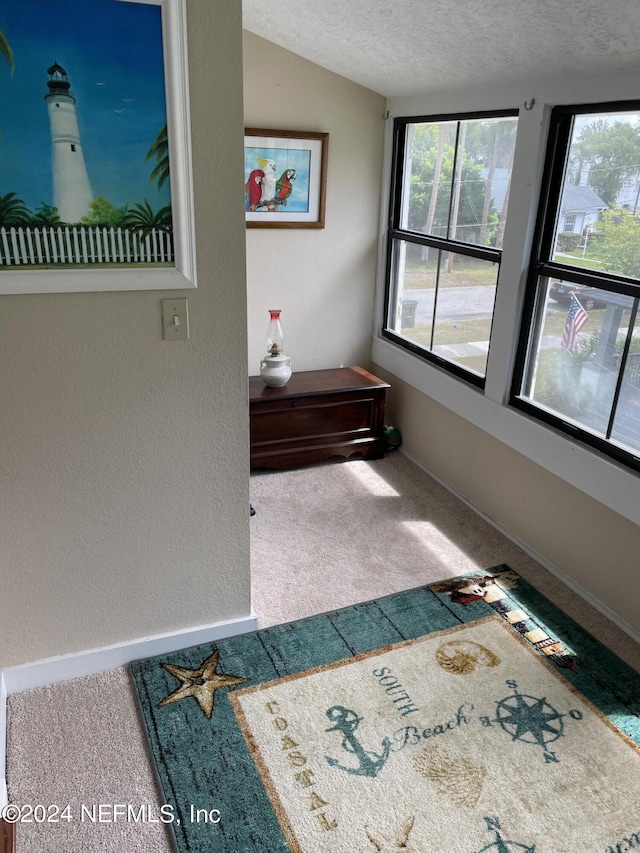 interior space featuring vaulted ceiling, carpet, and a textured ceiling