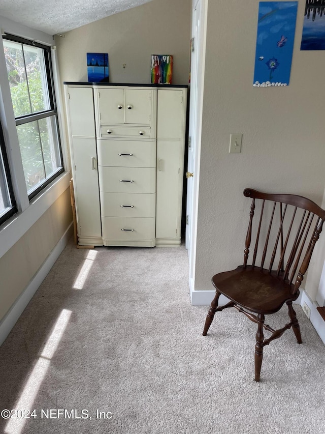 unfurnished room with light colored carpet and a textured ceiling