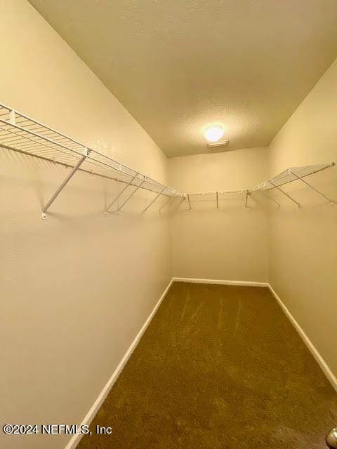 walk in closet with carpet floors