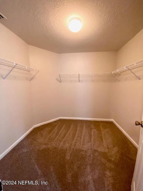 walk in closet with carpet floors