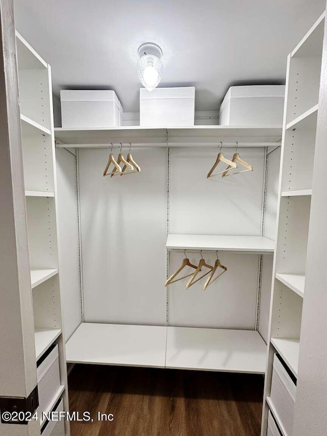 walk in closet with dark wood-type flooring