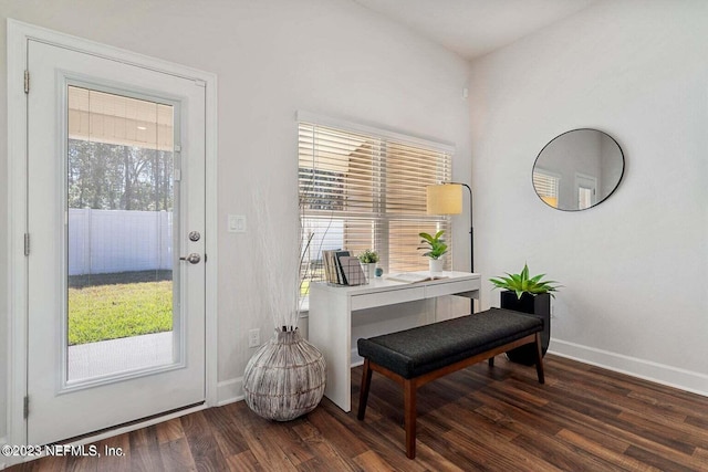 miscellaneous room with dark hardwood / wood-style floors and a wealth of natural light