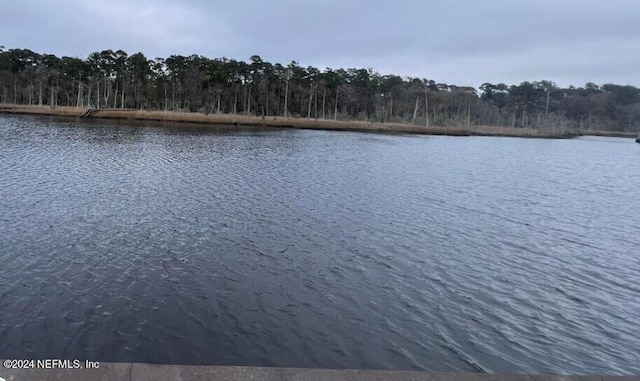 1707 El Prado Rd Unit 2, Jacksonville, FL 32216 - water view with a heavily wooded area