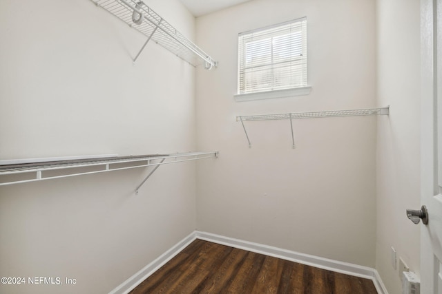 spacious closet with dark hardwood / wood-style flooring