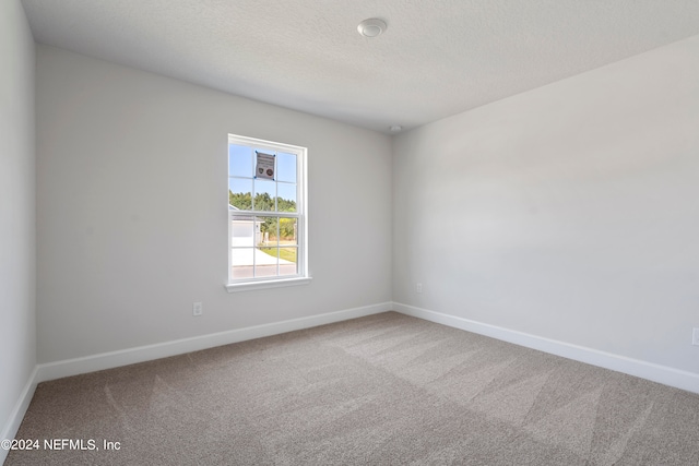 spare room with carpet and a textured ceiling