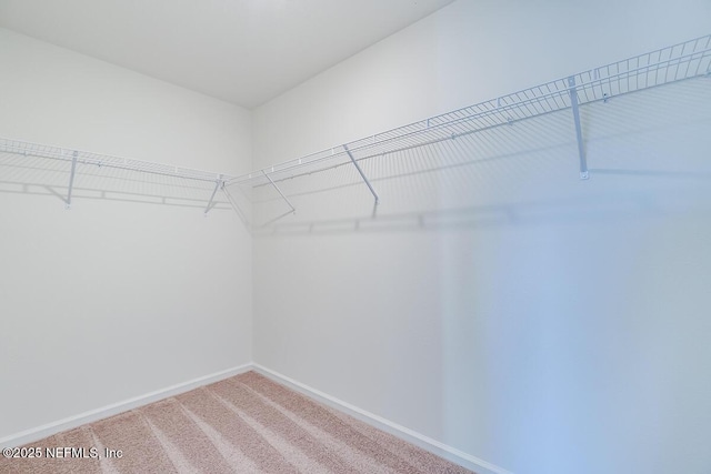 walk in closet with carpet