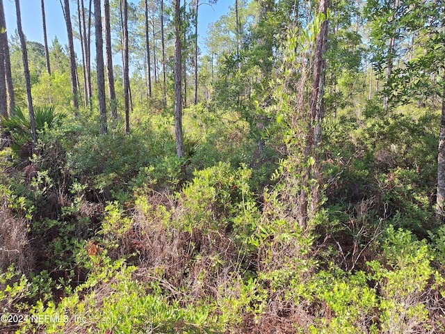 123 E Marion St, Palatka FL, 32177 land for sale