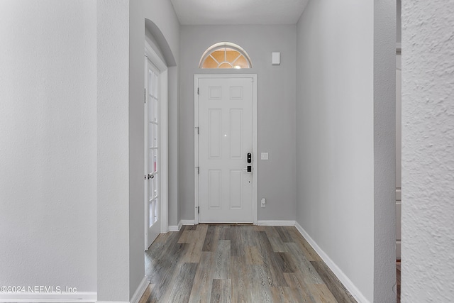 entrance foyer featuring wood-type flooring