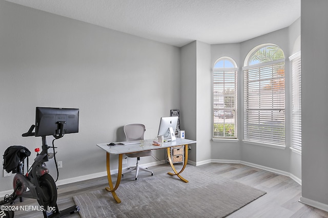 office with hardwood / wood-style floors