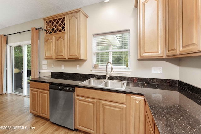 kitchen with stainless steel dishwasher, sink, light brown cabinetry, and a healthy amount of sunlight