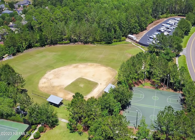 aerial view