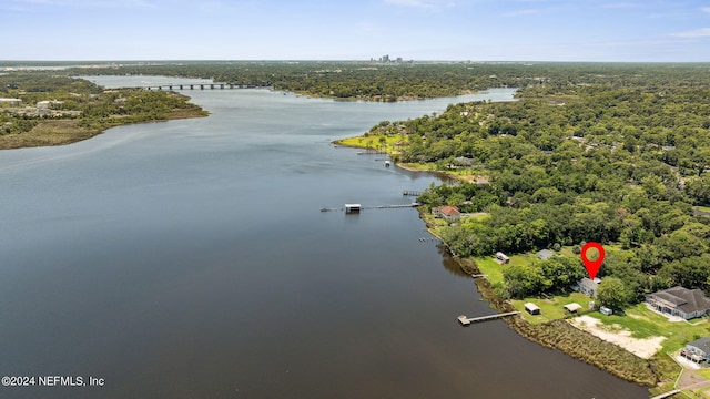 birds eye view of property featuring a water view and a forest view