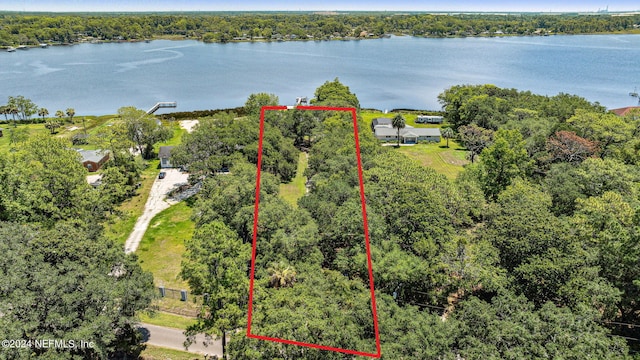 birds eye view of property featuring a water view and a forest view