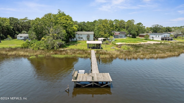 dock area with a water view