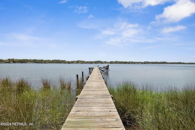 dock area with a water view