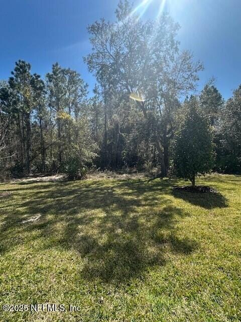 view of yard featuring a forest view