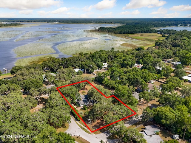 aerial view with a water view