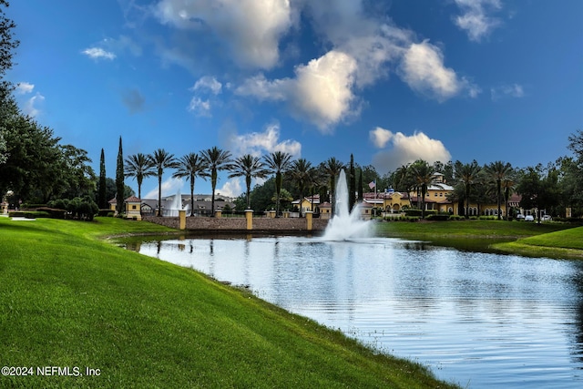 11789 Surfbird Cir Unit 6F, Jacksonville, FL 32256 - property view of water