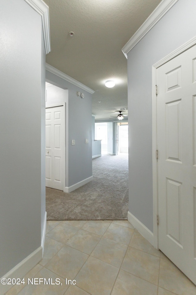 11789 Surfbird Cir Unit 6F, Jacksonville, FL 32256 - hallway with light carpet, light tile patterned floors, baseboards, and ornamental molding