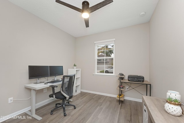 office area featuring ceiling fan and light wood-type flooring