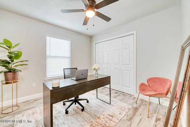 office with ceiling fan and light hardwood / wood-style flooring