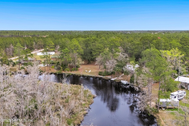 birds eye view of property featuring a water view and a forest view