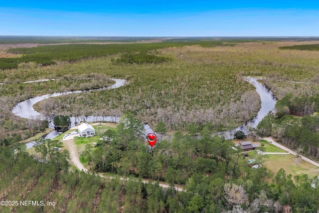 bird's eye view featuring a forest view and a water view