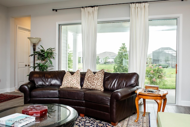 living room with wood-type flooring