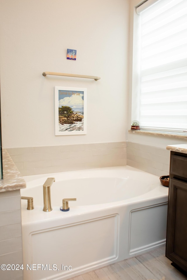 bathroom featuring a washtub, vanity, and a healthy amount of sunlight