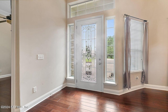 entryway with a healthy amount of sunlight and dark hardwood / wood-style flooring