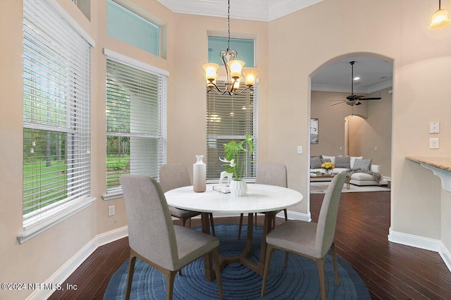 dining area with a wealth of natural light, dark hardwood / wood-style flooring, ceiling fan with notable chandelier, and ornamental molding