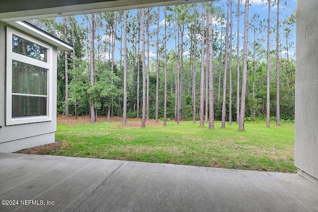 view of yard featuring a patio area