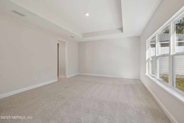 carpeted spare room with a wealth of natural light and a tray ceiling