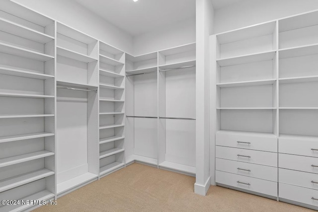 walk in closet with light carpet