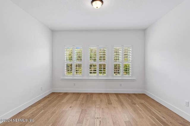 unfurnished room with light hardwood / wood-style flooring and a wealth of natural light