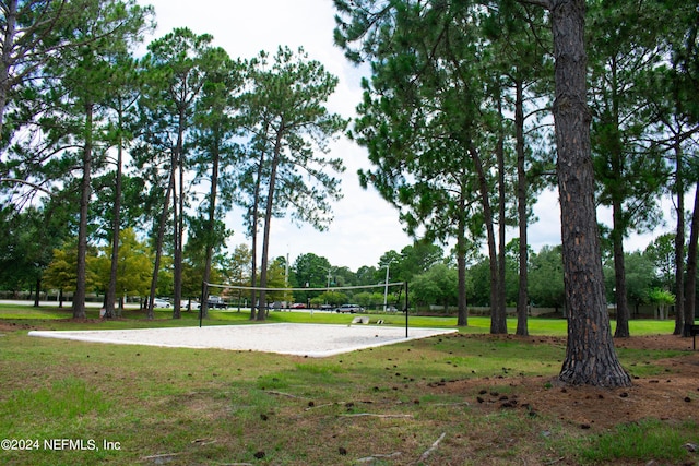 surrounding community featuring volleyball court and a yard