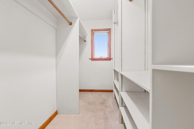 spacious closet with light carpet