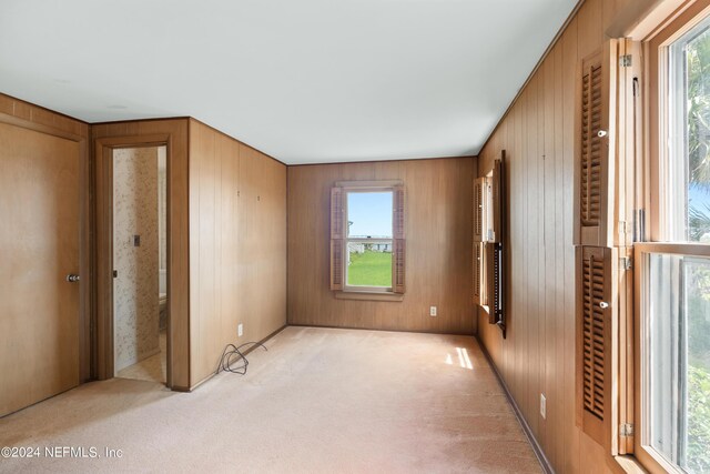 unfurnished room featuring a healthy amount of sunlight, wood walls, and carpet flooring